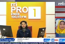 Ribuan Lowongan Global, SDM NTT Belum Terserap