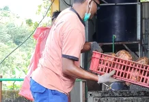 Komitmen Inklusi, PT Agro Porang Nusantara Rangkul Tenaga Kerja Disabilitas