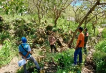 Babinsa dan PLN Cek Tiang Listrik di Riangkotek, Antisipasi Risiko bagi Warga