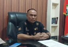 Wabup Fotim Cek Kesiapan Lahan dan Pakan Program Big Push 700 Sapi