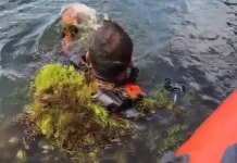 Pencarian Hari Kedua Siswa SD Asal Golo Loni yang Tenggelam di Rana Mese Masih Nihil