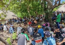 Mediasi Sengketa Lahan Adat di Solor Timur Belum Capai Kesepakatan