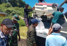 Pelatihan Combine Harvester Tingkatkan Efisiensi Panen Petani di Manggarai
