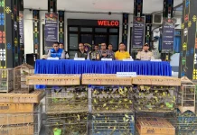 Lanal Labuan Bajo Selamatkan Ribuan Burung Endemik Flores dari Penyelundupan