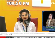 UMKM dan Usaha Rumahan NTT Masuk Pendataan Sensus Ekonomi