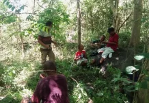 Pemkab Flores Timur Tinjau Lahan Pembangunan Huntap di Desa Nobo