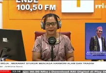 Hang Woja: Ritual Syukur dan Harmoni Manggarai Timur