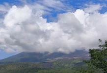 Gunung Lewotobi Laki-laki Naik Status Siaga, Aktivitas Magma Terus Menguat