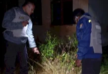 Petani di Tonggur Meninggal usai Tersengat Arus Listrik PLN
