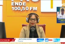 Kementan RI Pantau Program Strategis Pertanian Ngada