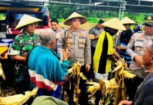 Kapolres Flotim Pimpin Panen Raya Jagung Serentak di Titehena