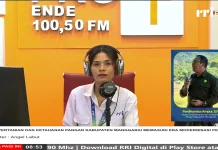 Petani Manggarai Mulai Gunakan Teknologi Pertanian Modern