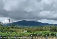 Aktivitas Gempa Gunung Lewotobi Laki-laki Meningkat, Status Masih Siaga