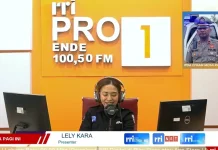 Sempat Lumpuh Total, Jalur Trans-Flores KM 20 dan 21 Ende Kini Kembali Normal