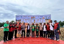 Panen Raya Jagung PT SMJ Dorong Pertanian Produktif di Lembata