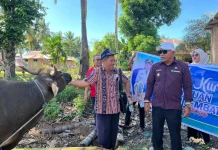 Pemkab Lembata Salurkan Sapi Kurban ke Tiga Masjid