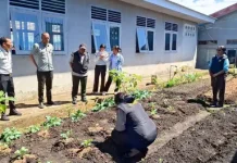 Balai Penyuluh Pertanian dan Rutan Bajawa Kembangkan Pertanian Organik Binaan