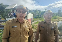Ferdy Ampur Optimis Combine Harvester Tingkatkan produksi Panen Petani