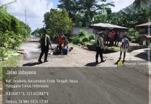 Kapolres Ende dan Jajaran Kolaborasi dengan Warga Tambal Jalan Berlubang