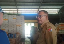 Pemkab Sikka Awasi Harga Pangan