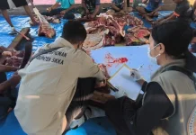 Ratusan Hewan Kurban Perkuat Toleransi Umat di Sikka