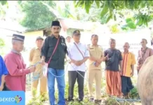 Wabup Nagekeo Serahkan Sapi Kurban Bantuan Presiden