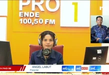 Manggarai Perketat Pengawasan Pilkades 2026