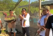 Pengembangan Lahan Kebun Contoh Kaya Tene Agriculture Ditargetkan 15 Hektare