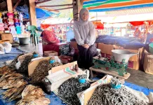 Dari Duka Menjadi Kekuatan, Nurhalizah Sukses Kembangkan Usaha Ikan Kering Keluar