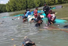 Perahu Angkut Sound System dan Penumpang Terbalik di Perairan Mangrove Terang