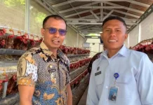 BGN Ende Dukung UMKM Telur Penuhi Kebutuhan Gizi
