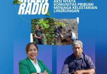 Komunitas Pribumi Libatkan Warga Hijaukan Lingkungan Flores Berkelanjutan