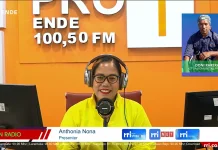 Komunitas Pribumi Siapkan Program Penghijauan di Manggarai dan Adonara