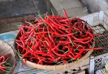 Pedagang Nilai Persaingan Pasokan dengan Dapur MBG Pengaruhi Harga Cabai
