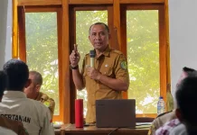 Manggarai Barat Terapkan Drone untuk Kendalikan Hama Wereng Coklat