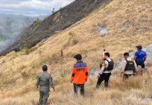 Polisi Duga Puntung Rokok Jadi Penyebab Kebakaran Savana Bukit Silvia
