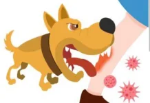 Dinkes Imbau Warga Tidak Sepelekan Gigitan Hewan Penular Rabies