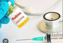 Dinkes Nagekeo: Puskesmas Boawae Masih Miliki 100 Dosis Vaksin Antirabies