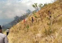 Sinergi TNI-POLRI dan Damkar Jinakkan Kebakaran Savana Bukit Silvia Labuan Bajo
