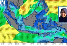 BMKG Ingatkan Gelombang Tinggi Ancam Perairan NTT