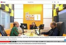 Dinas Ketahanan Pangan Ende Perkuat Pemanfaatan Pangan Lokal