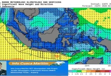 BMKG Peringatkan Gelombang Tinggi di Perairan NTT