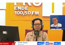 Pendampingan UMKM Perkuat Daya Saing Produk Lokal Melalui Digitalisasi