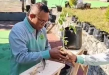 Asta Protas 2026 Resmi Diluncurkan, ASN Kemenag Flores Timur Tanam 1.324 Pohon