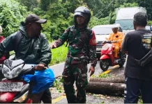 Mitigasi Erupsi Lewotobi, Babinsa Intensifkan Pemantauan Wilayah