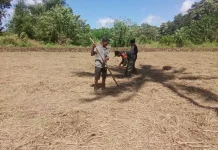 Petani Boru Kembali Garap Lahan di Tengah Aktivitas Gunung Lewotobi