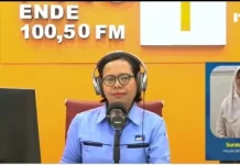 Jalur Ilegal Dominasi Kematian PMI Asal NTT Malaysia