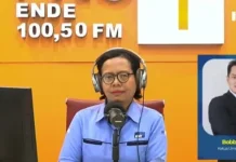 Kerja Sama Kupang-Darwin Buka Peluang Investasi dan Perkuat Ekonomi NTT