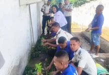 Rutan Larantuka Ubah Lahan Kosong Menjadi Kebun Produktif