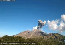 Gunung Lewotobi Laki-Laki Erupsi, Kolom Abu Capai 1.000 Meter